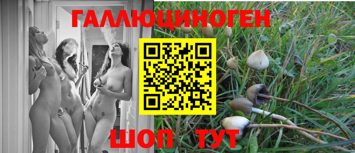 Псилоцибиновые грибы ЛСД  Вход с VPN  Вольск 